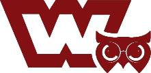 footer credit icon