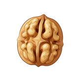 dryfruit