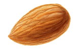 dryfruit
