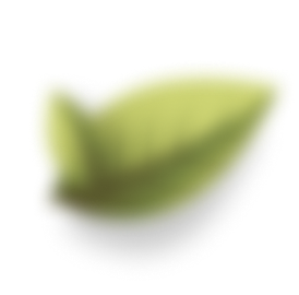footer leaf